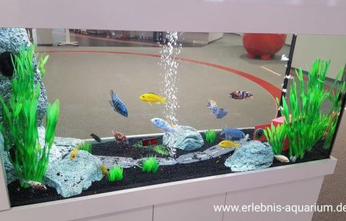 Erlebnis-Aquarium im Sparkassenblog
